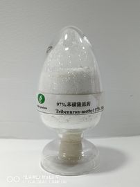 Tribenuron-Methyl95%TC, γεωργικό ζιζανιοκτόνο, ευρύς με φύλλα έλεγχος εμφάνισης ζιζανίων μετα