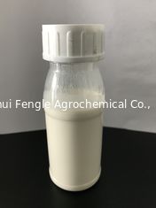 Nicosulfuron 80g/L OD, γαλακτώδες άσπρο υγρό, δολοφόνος χλόης πλατύφυλλων για τον αραβόσιτο