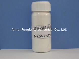 Nicosulfuron 97% TC, συστημικός εκλεκτικός δολοφόνος ζιζανίων πλατύφυλλων, Off-white σκόνη