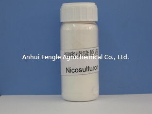 Ζιζανιοκτόνο Nicosulfuron 97% TC CAS Νο 111991-0904