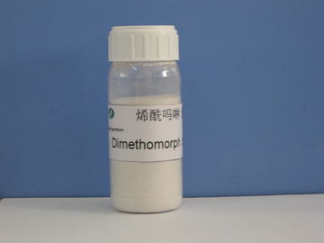 Dimethomorph 50%WP, μυκητοκτόνα, αγροχημικό φυτοφάρμακο, CAS 110488-70-5, ωίδιο Dowy του αγγουριού/οπωρωφόρο δέντρο